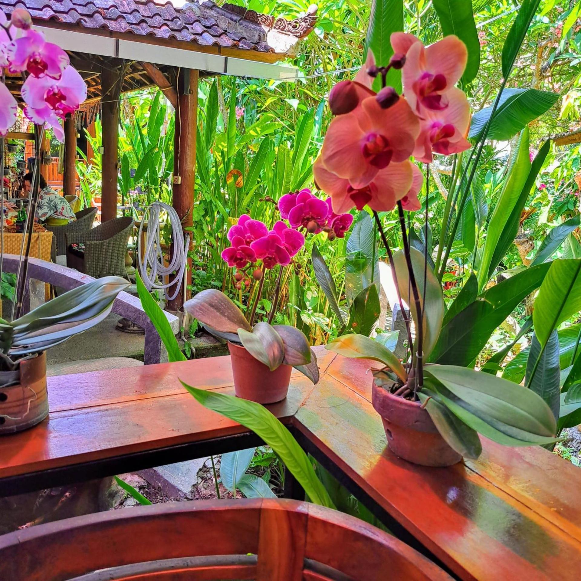 Bali Kembali Hotel Sanur Exterior foto